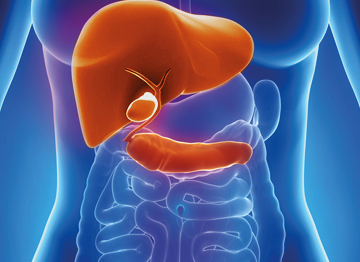 Hepatobiliary, Pancreatic and Liver Transplantation Surgery Department