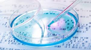Biochemistry & Molecular Biology Department